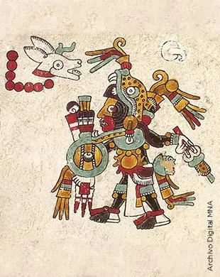 8 venado mixteco 